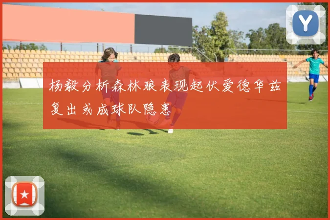 杨毅分析森林狼表现起伏爱德华兹复出或成球队隐患