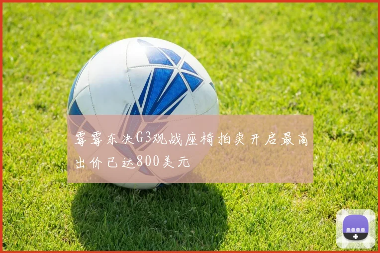 霉霉东决G3观战座椅拍卖开启最高出价已达800美元